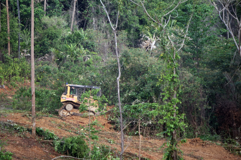 Land Clearing